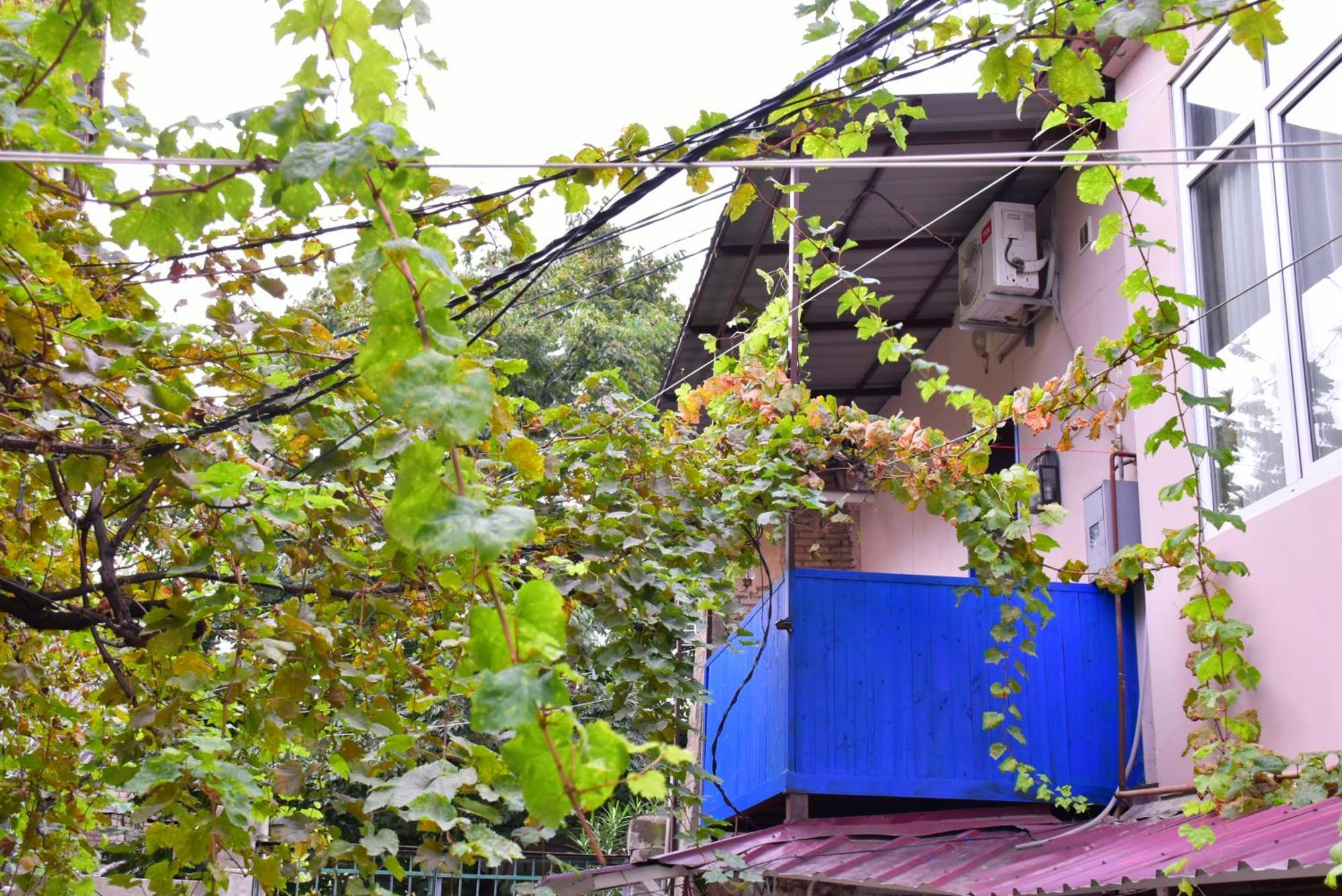 The Librarians' House With Balcony *